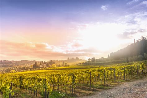 Is Napa A Day Trip From San Francisco?