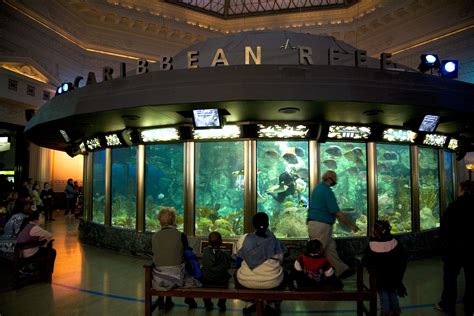 Is outside food allowed in Shedd Aquarium?