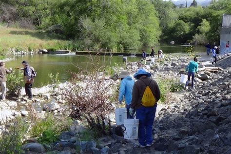 Is The Alameda Water Clean?