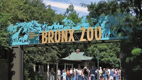 Is the Bronx Zoo bigger than the Central Park Zoo?