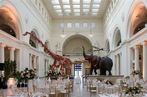 Is the Field Museum fun for adults?