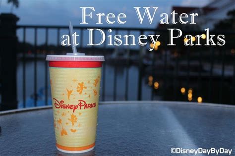 Is There Free Water At Disney World?