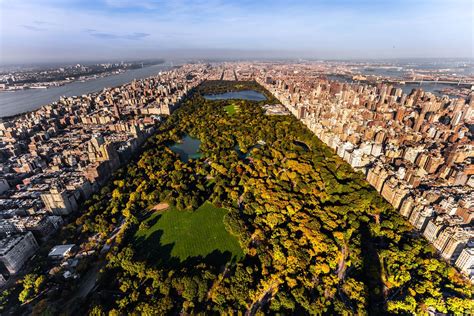 What are 3 things you can do in Central Park?