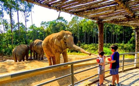 What Are The Top Five Largest Zoos In The World?