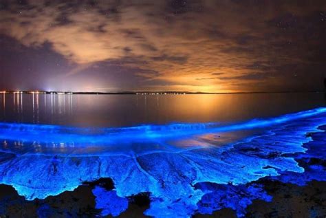 What beach has glowing blue water?