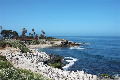 What beach in California has the clearest water?