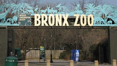 What Day Is Free Bronx Zoo 647de3d208e68 