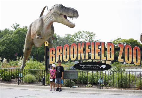 What happened at Brookfield Zoo in Chicago?