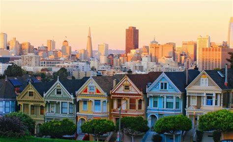 What Is A Fact About Painted Ladies?