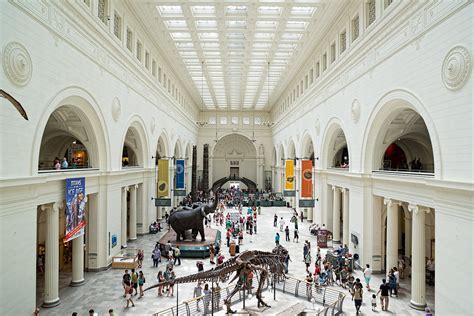 What is inside of the Field Museum?