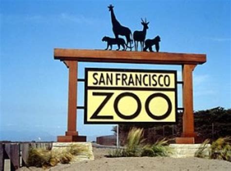 What Is Special About The San Francisco Zoo?