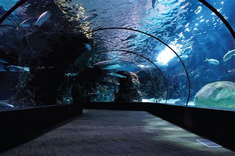 What is the 2nd largest aquarium in the US?
