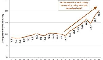 What is the average income in Turkey in US dollars?