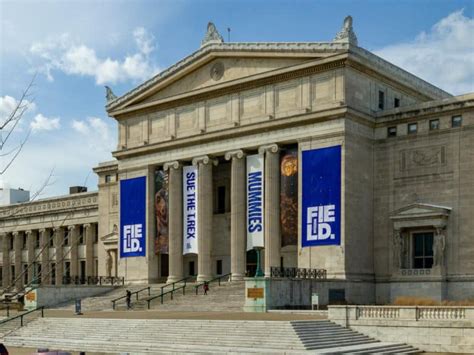 What is the best age for Field Museum Chicago?