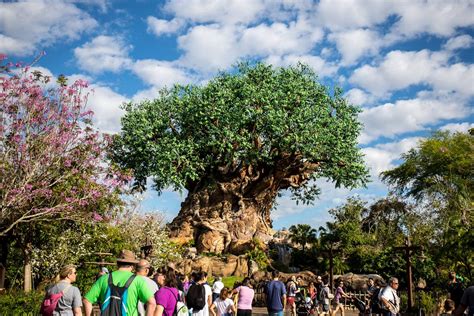 What is the best age to go to Animal Kingdom?