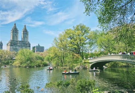 What is the best entrance to Central Park?