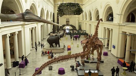 What is the best exhibit at the Field Museum in Chicago?