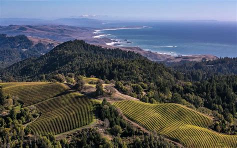 What Is The Best Month To Visit Sonoma?