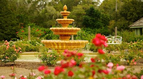 What Is The Best Time Of Year To Visit Leu Gardens?