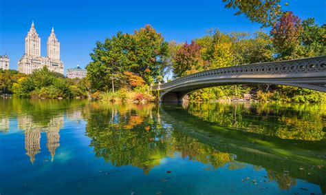 What is the best way to see Central Park?