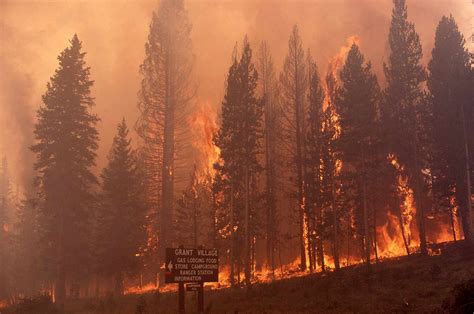 What is the deadliest fire in US history?