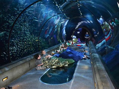 What is the deepest aquarium tank in America?