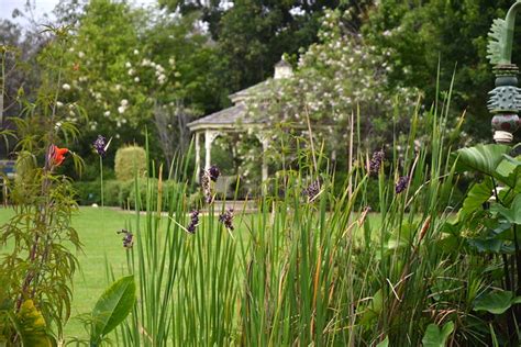 What is the difference between botanical and Botanic Gardens?