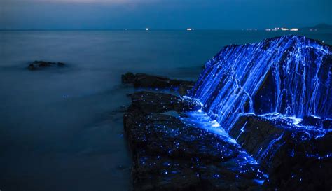 What is the LA beach that glows?