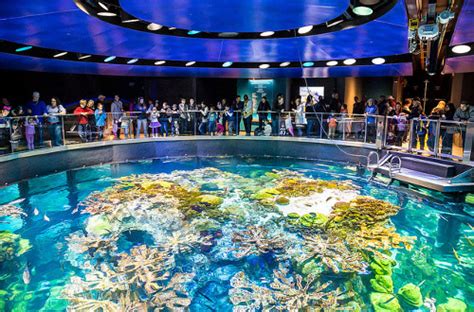 What is the largest aquarium in the United States?