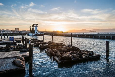 What Is The Most Famous Pier In San Francisco?