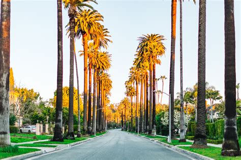 What is the most famous street in Beverly Hills?