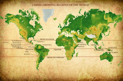 What Is The Only State That Grows Coffee?