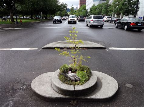 What is the smallest city park in America?