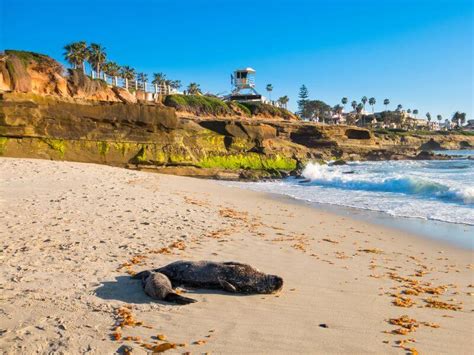 What is the warmest beach in LA?