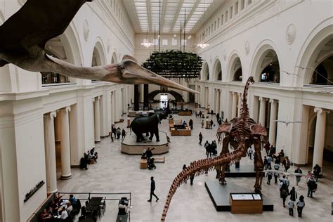 What should I not miss at the Field Museum?