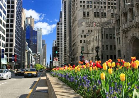 What Street Is Chicago’s Magnificent Mile A Shopping District On?