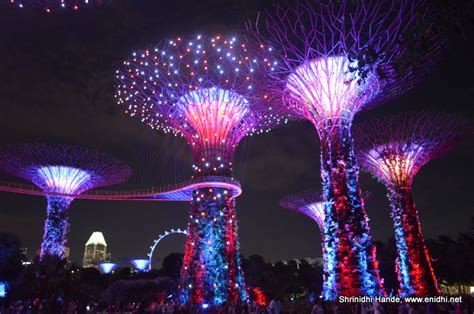 What Time Is The Light Show At Gardens By The Bay?