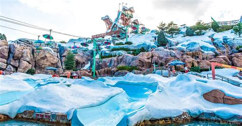 What were the 3 water parks at Disney World?