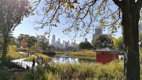 Where can I walk in Lincoln Park Chicago?