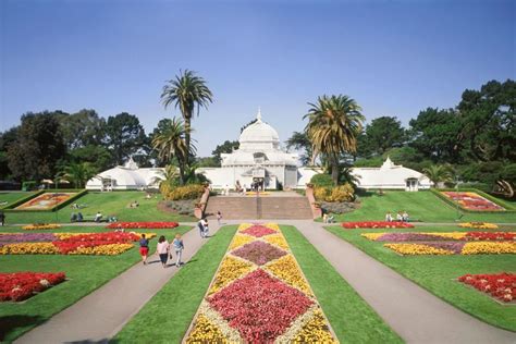 Where Do You Park For The Sf Botanical Garden?