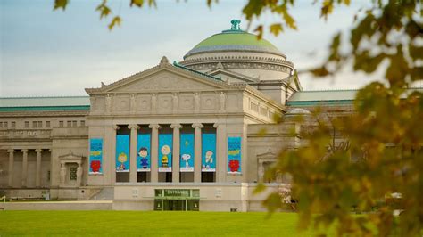 Where is the best place to park at the Museum of Science and Industry?