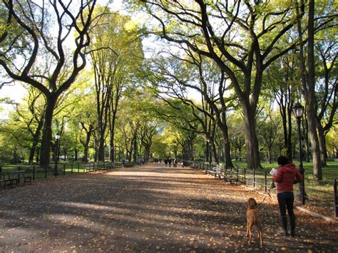 Where is the best place to walk in Central Park?