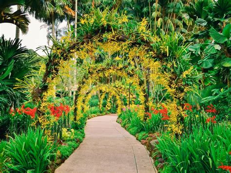 Where is the most beautiful botanical garden in the world?