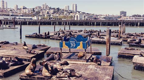 Which Is Better Pier 39 Or Fisherman's Wharf?