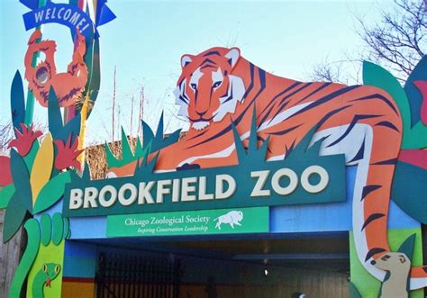 Which zoo is better Brookfield or Lincoln Park?