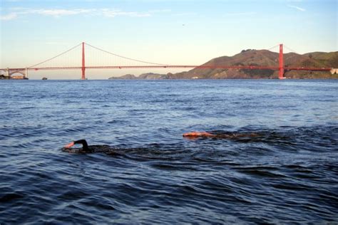 Why Can’t You Swim From Alcatraz?