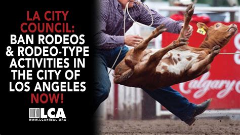 Why did California ban rodeos?