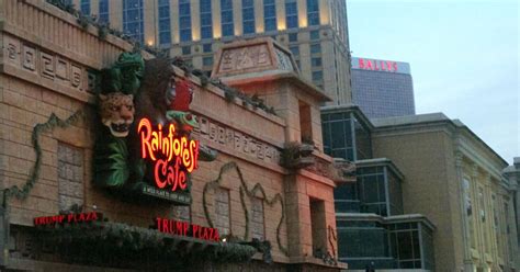 Why did Rainforest Cafe Chicago closed?