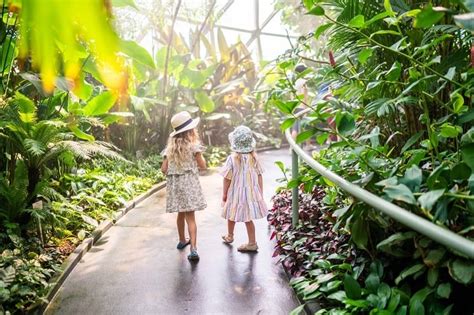 Why do people go to the Botanic Gardens?