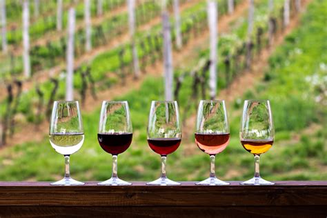 Why do wineries charge for wine tasting?